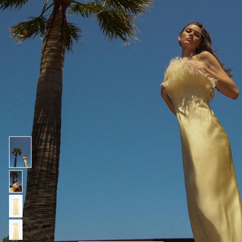 Zara Strapless Feathered Cream Dress